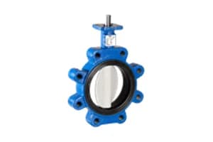 Butterfly Valves Manufacturers In India Butterfly Valves Manufacturers In India