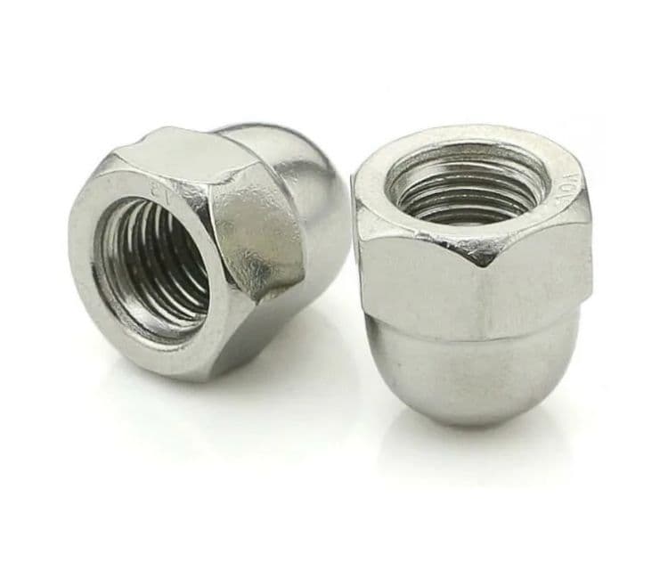 Acorn Nuts Supplier India Acorn Nuts Supplier India