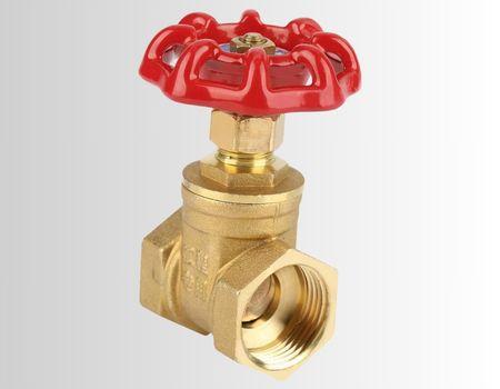 Brass Threaded Gate Valve Brass Threaded Gate Valve
