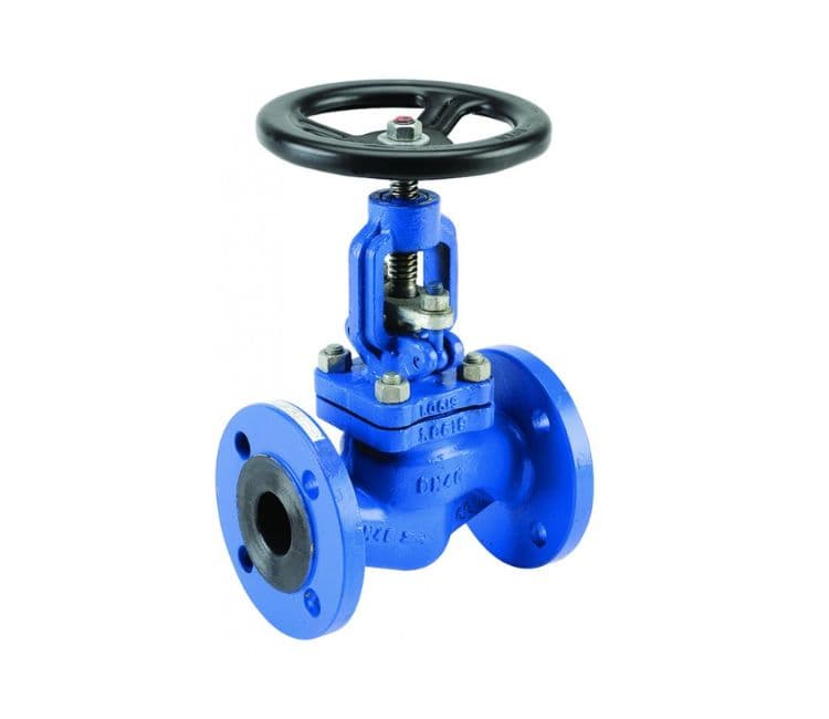 Carbon steel globe valves manufacturer in india Carbon steel globe valves manufacturer in india