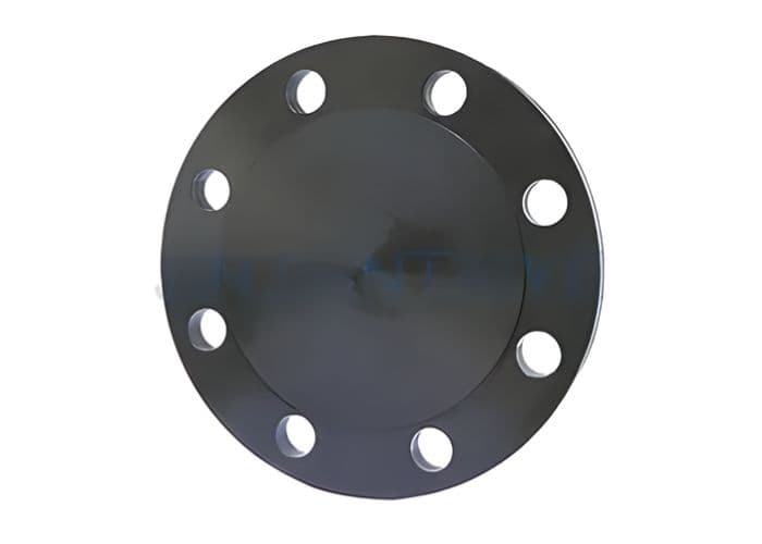 Carbon Steel Raised Face Blind Flange.jpg Carbon Steel Raised Face Blind Flange.jpg