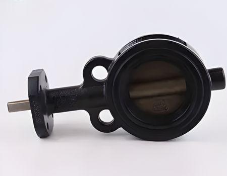 Carbon Steel Wafer Valve Manufacturer In India Carbon Steel Wafer Valve Manufacturer In India