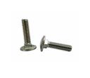 Carriage_bolts_(1)