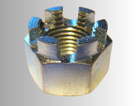 Castle Nuts Castle Nuts