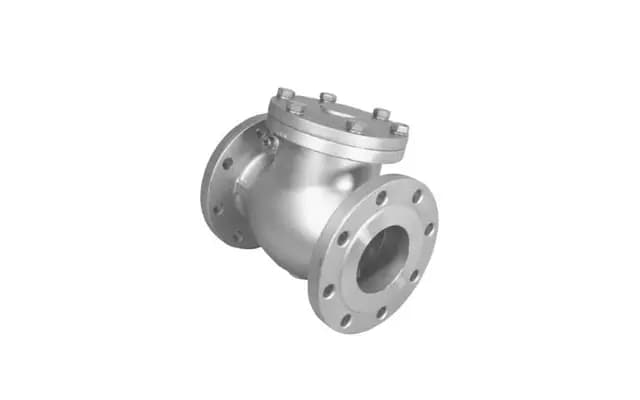Check Valve Check Valve