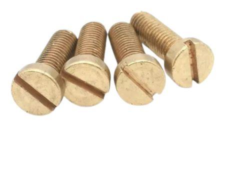 Brass Cheese Head Screw Brass Cheese Head Screw
