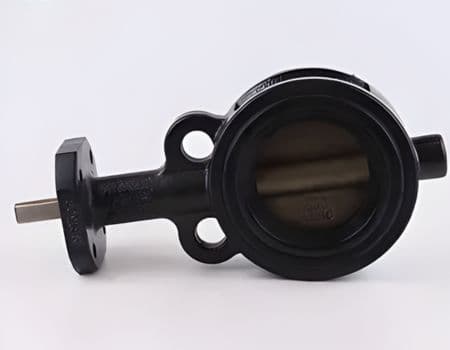 Carbon Steel Wafer Valve Manufacturer In India Carbon Steel Wafer Valve Manufacturer In India