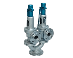 Double Spring Type Safety Valve Double Spring Type Safety Valve