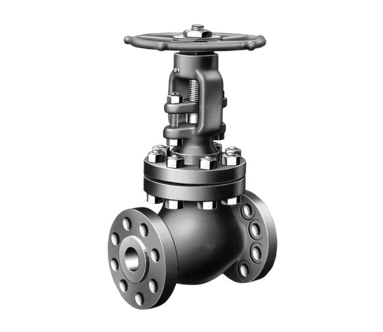 Globe Valve, Directional Flow Management, System Balancing Globe Valve, Directional Flow Management, System Balancing