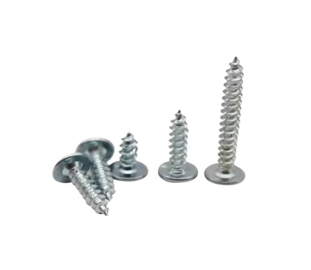 Ss 316 Self Tapping Screw Ss 316 Self Tapping Screw