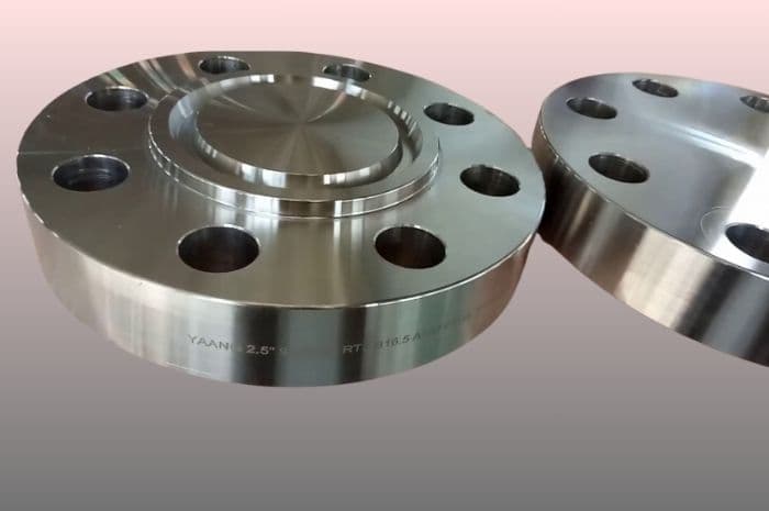 Stainless Steel Blind Flanges Exporter Stainless Steel Blind Flanges Exporter
