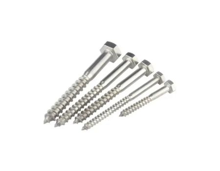 Stainless Steel Coach Screw Stainless Steel Coach Screw