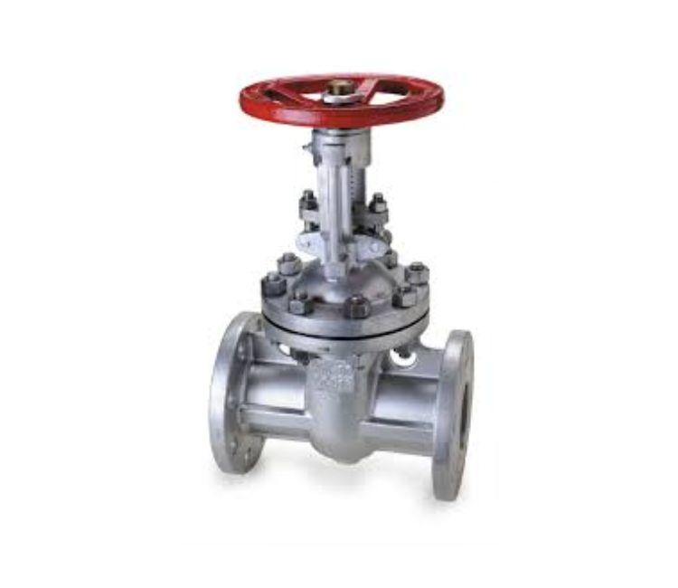 Stainless Steel Gate Valves - Stainless_steel_gate_valves_manufacturer_in_india